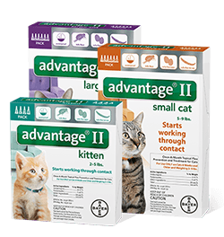 Advantage Ii Flea Tick Preventive For Cats And Dogs Lambert