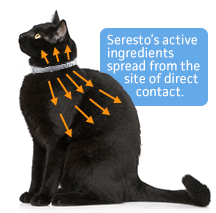 Seresto's active ingredients spread from the site of direct contact