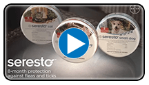 See how Seresto works