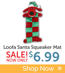 Buy Loofa Santa Squeaker Mat