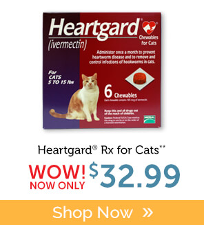 Buy Heartgard Rx for Cats