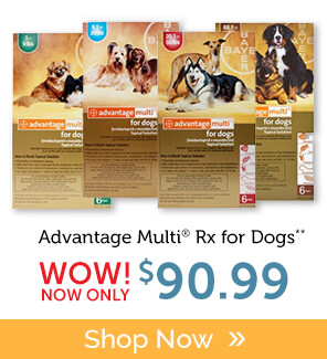 Buy Advantage Multi Rx for Dogs