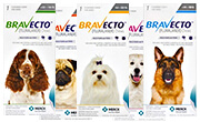 Shop Bravecto for Dogs