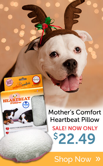 Buy Mother's Comfort Heartbeat Pillow