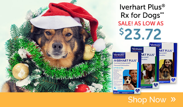 Buy Iverhart Plus Rx for Dogs