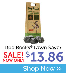Buy Dog Rocks
