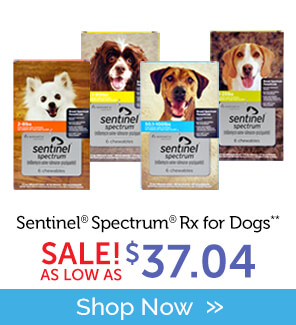 Buy Sentinel Spectrum Rx for Dogs