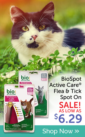 Buy BioSpot Active Care Flea & Tick Spot On for Cats