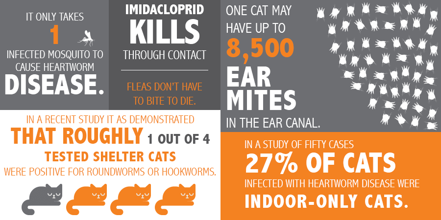 Advantage Multi Flea Tick Heartworm Preventive For Cats