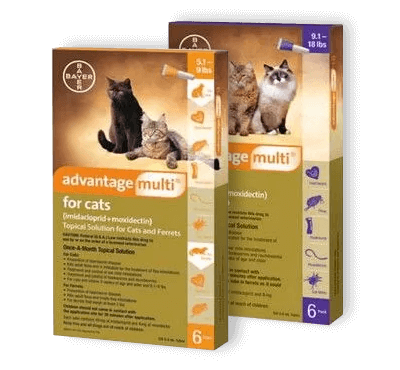 lambert vet supply