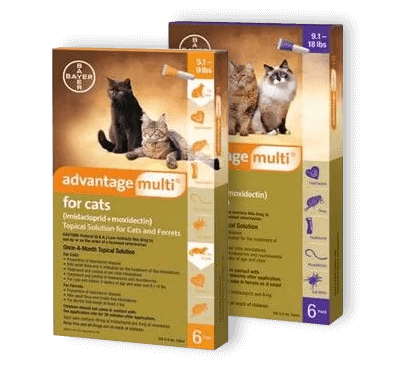 advantage multi flea tick