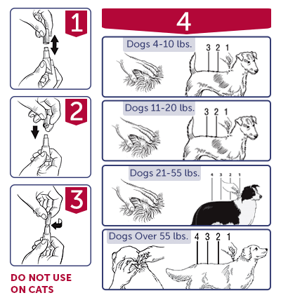 applying k9 advantix ii