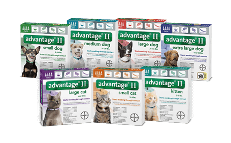 Bayer Animal Health | Pet Supplies | Lambert Vet Supply