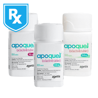 Shop Apoquel Rx*