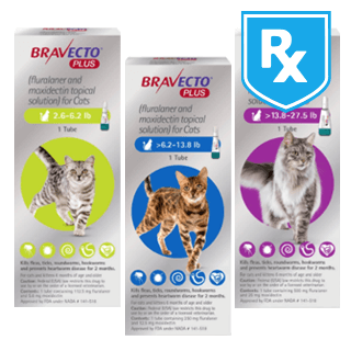 Shop Bravecto Plus for Cats Rx