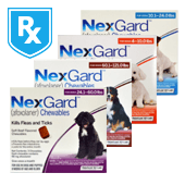 NexGard Rx