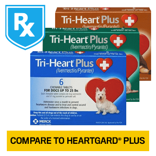 Shop Tri-Heart® Plus for Dogs Rx
