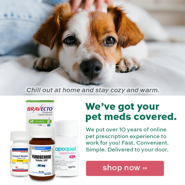 Lambert Vet Supply 🌬Stay Warm & Cozy! We'll Get Your Pet Meds! Milled