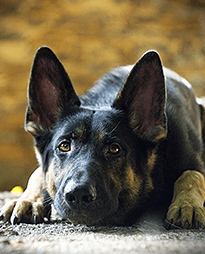 Aluminum Hydroxide and stomach discomfort