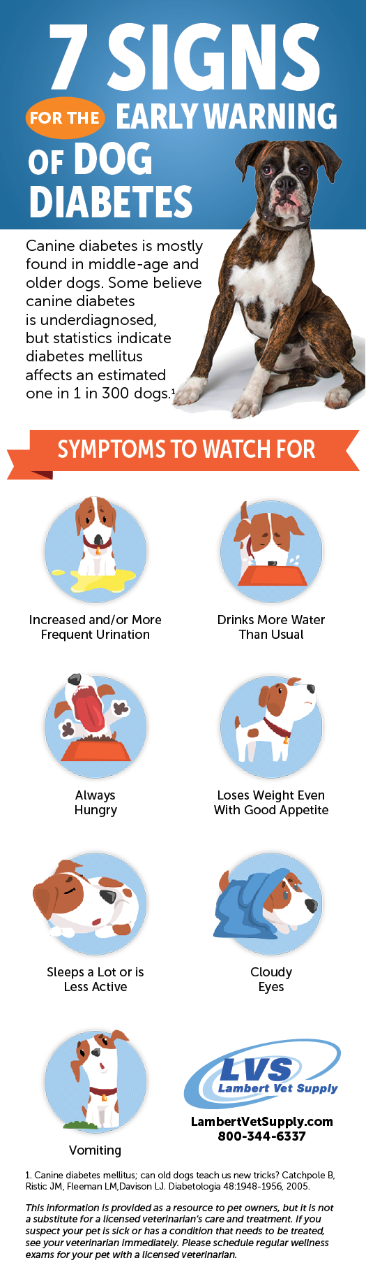 7 signs of diabetes in dogs