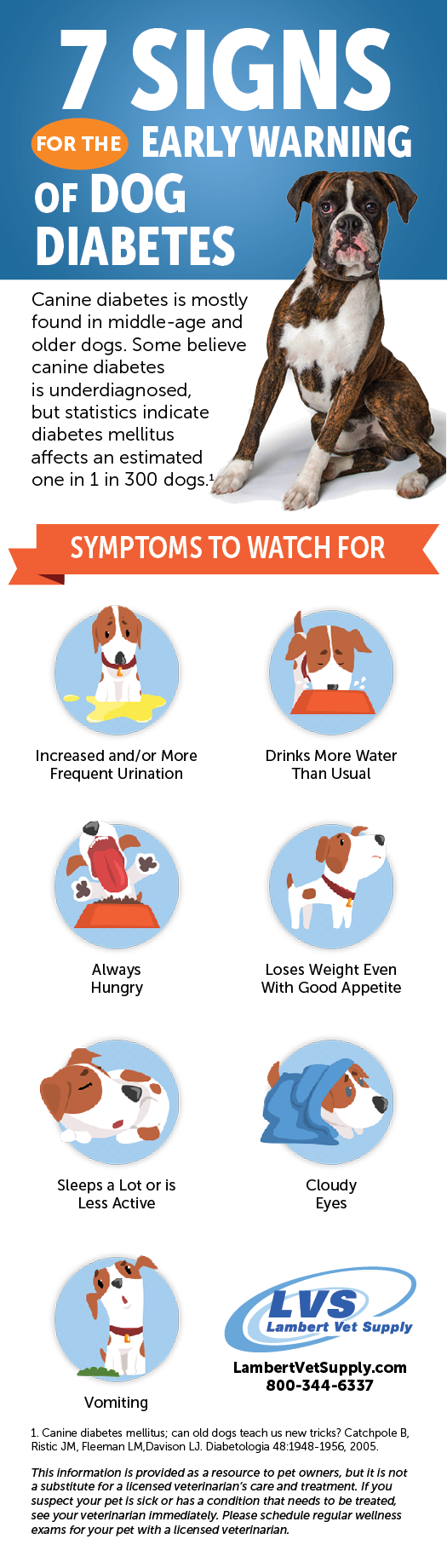 what are signs of diabetes in dogs