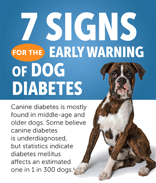 Canine diabetes clearance treatment