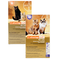 Advantage Multi Rx for Cats